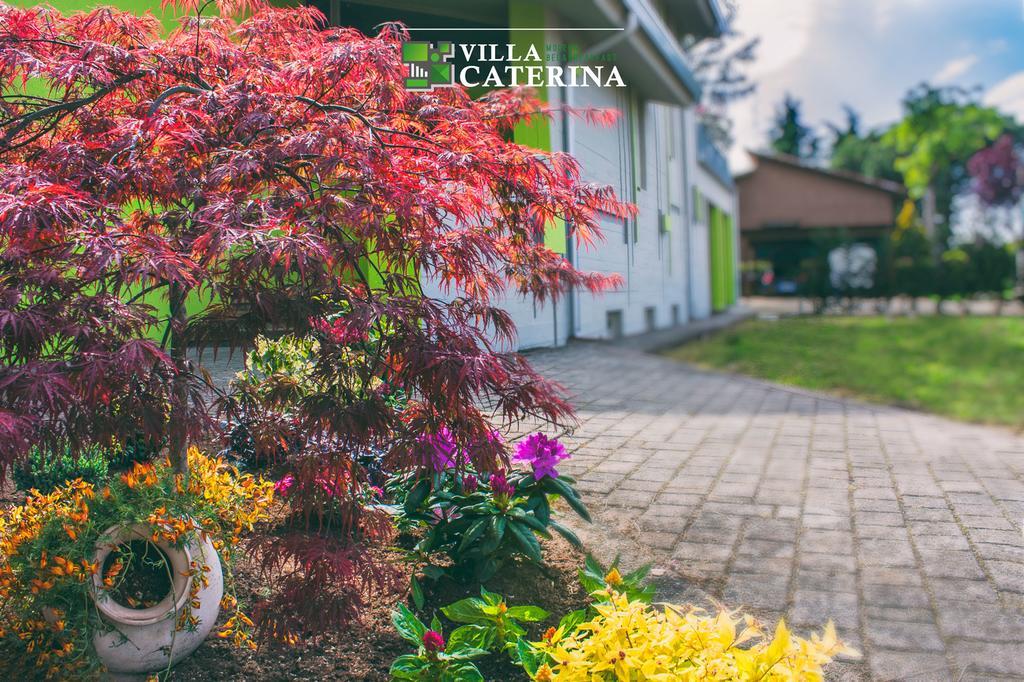 Villa Caterina Pescantina Exterior foto