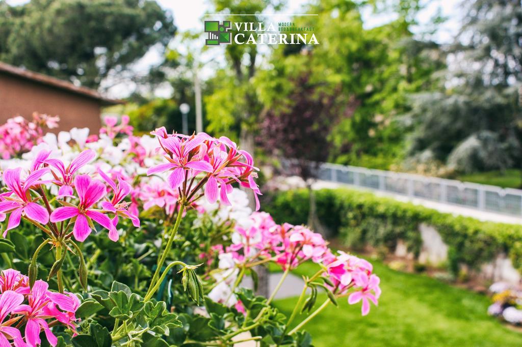 Villa Caterina Pescantina Exterior foto